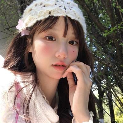 蜘蛛网